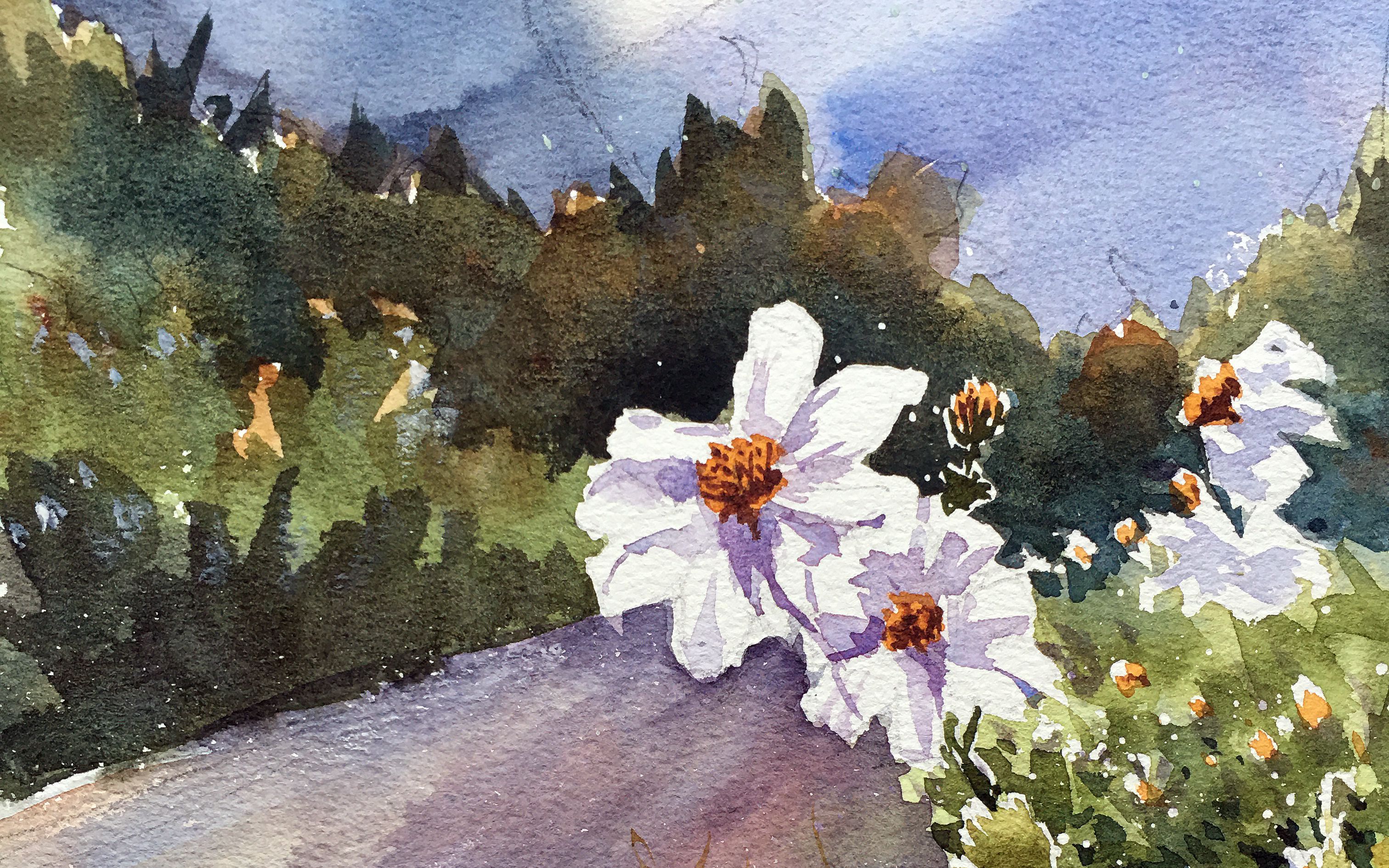 水彩花卉,逆光中的路边野花,真美!