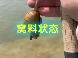 Tải video: 这才是河里钓鱼诱饵该有的状态