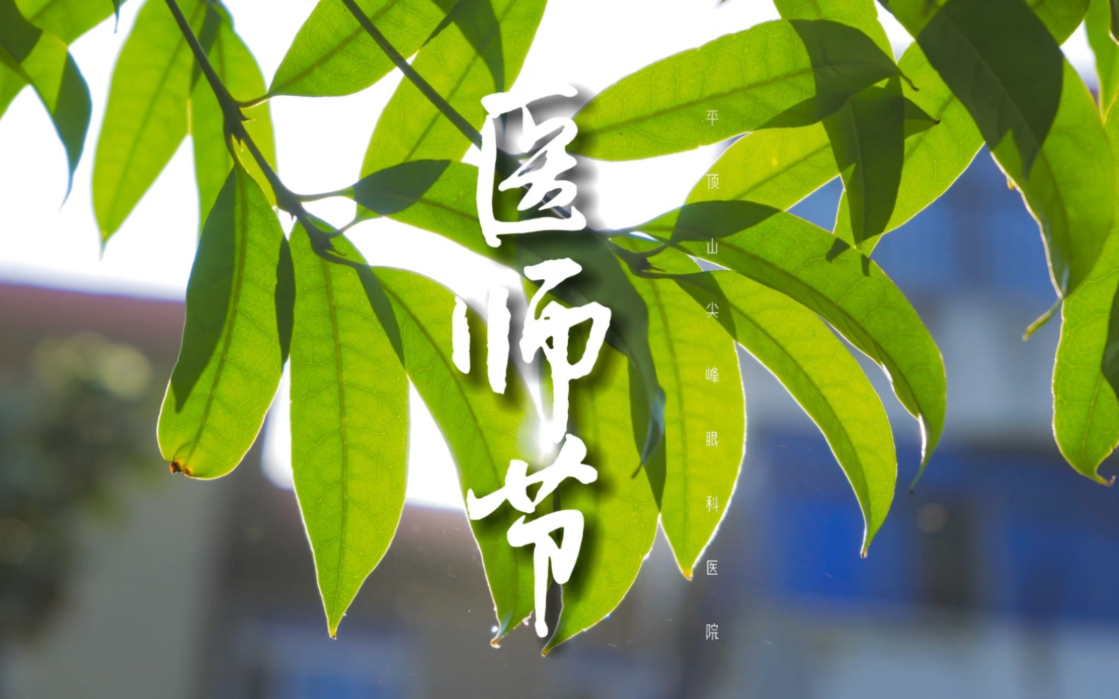 中国医师节致敬无私奉献的医师