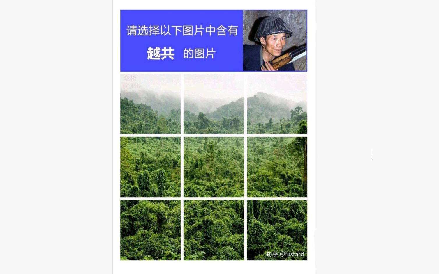 【战争雷霆】 越共探头