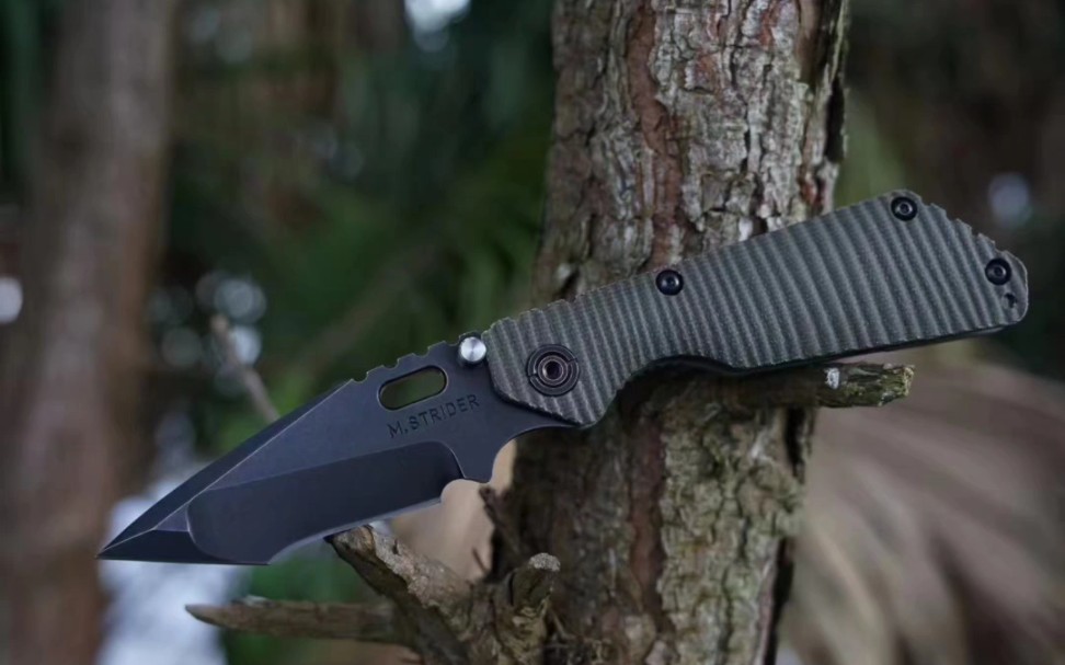 strider 挺进者smf夜魔 400多像素