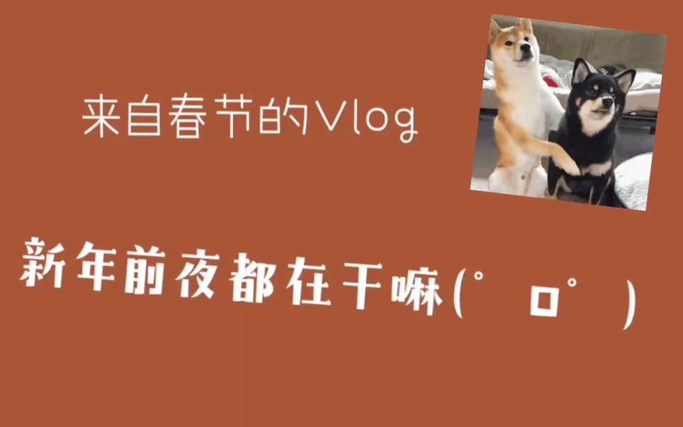 大专生大专魂新年第一个vlog看看福建是怎么过年的吧南北方差异到底在哪里呢?山东信息职业技术学院哔哩哔哩bilibili