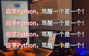 Скачать видео: 自学Python，骂醒一个是一个！