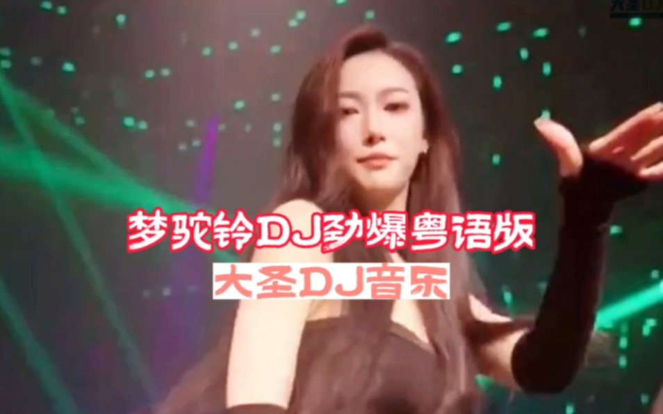 DJ音乐:经典DJ劲爆名曲:全网热播DJ舞曲:中文劲爆舞曲:车载必听DJ音乐:哔哩哔哩bilibili