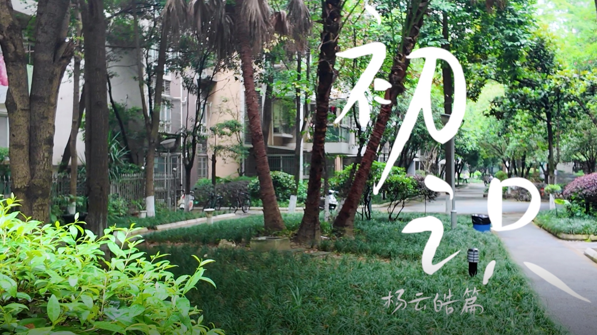 【TF家族练习生】五代个人纪录片《初识》· 杨云皓篇