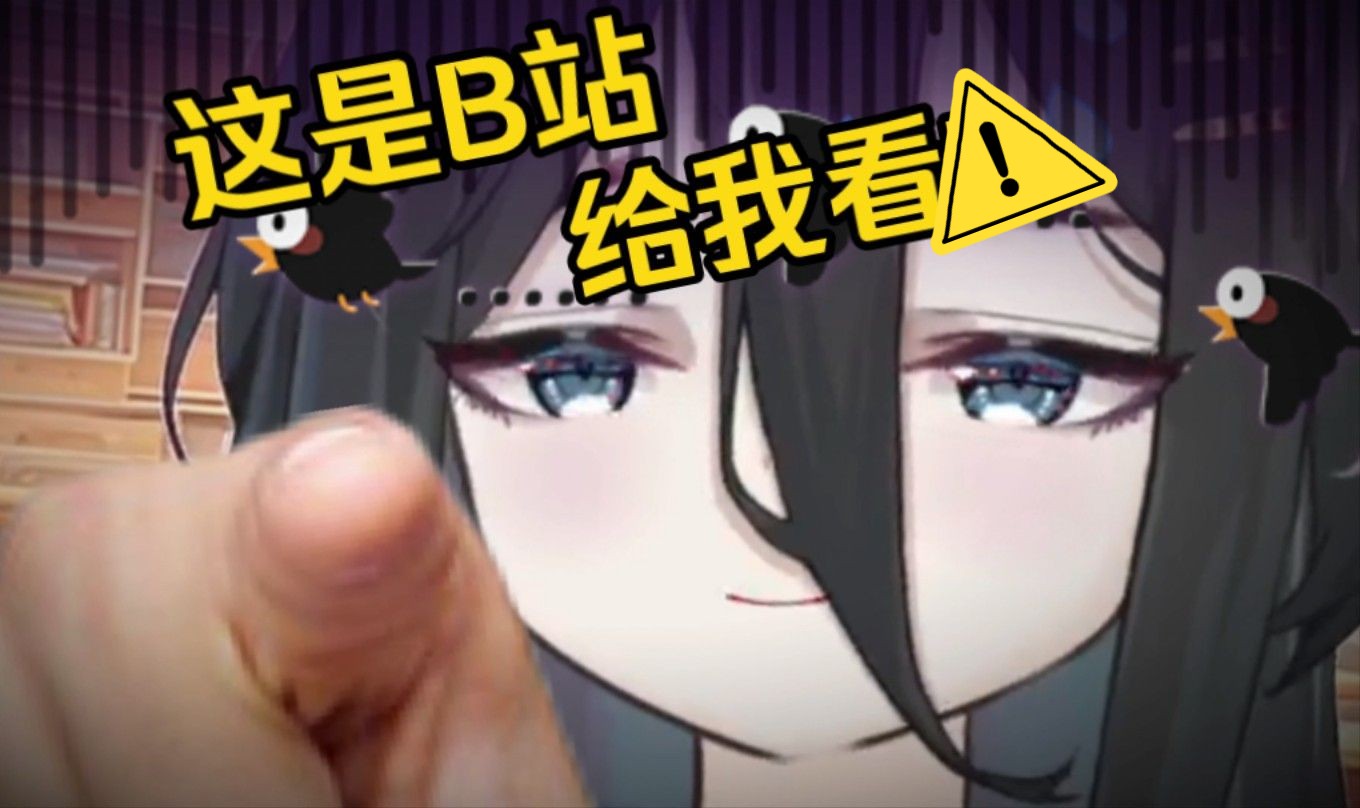 P站看P,B站看…哔哩哔哩bilibili