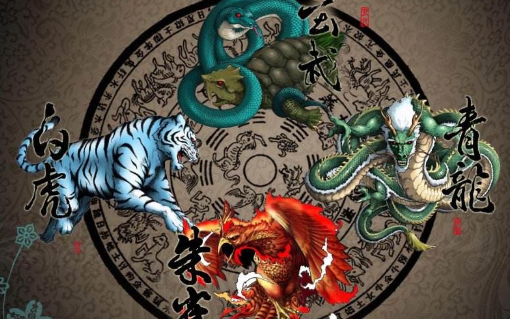 朱雀,青龙,白虎,玄武_哔哩哔哩_bilibili