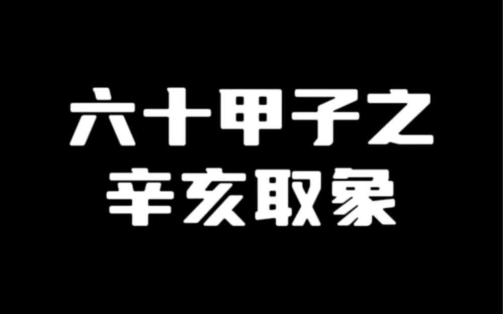 六十甲子取象之辛亥哔哩哔哩bilibili