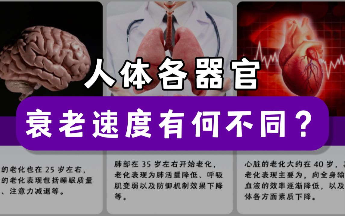 [图]人体各器官，衰老速度有何不同？