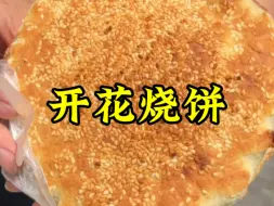 Descargar video: 外焦里嫩的开花吊炉烧饼#路边摊美味 #街边小吃 #烧饼