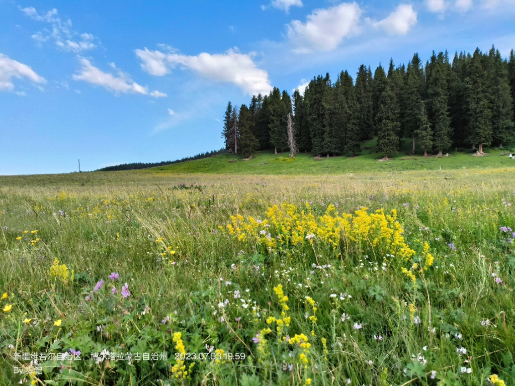 伊犁清水河镇不适宜晨跑!