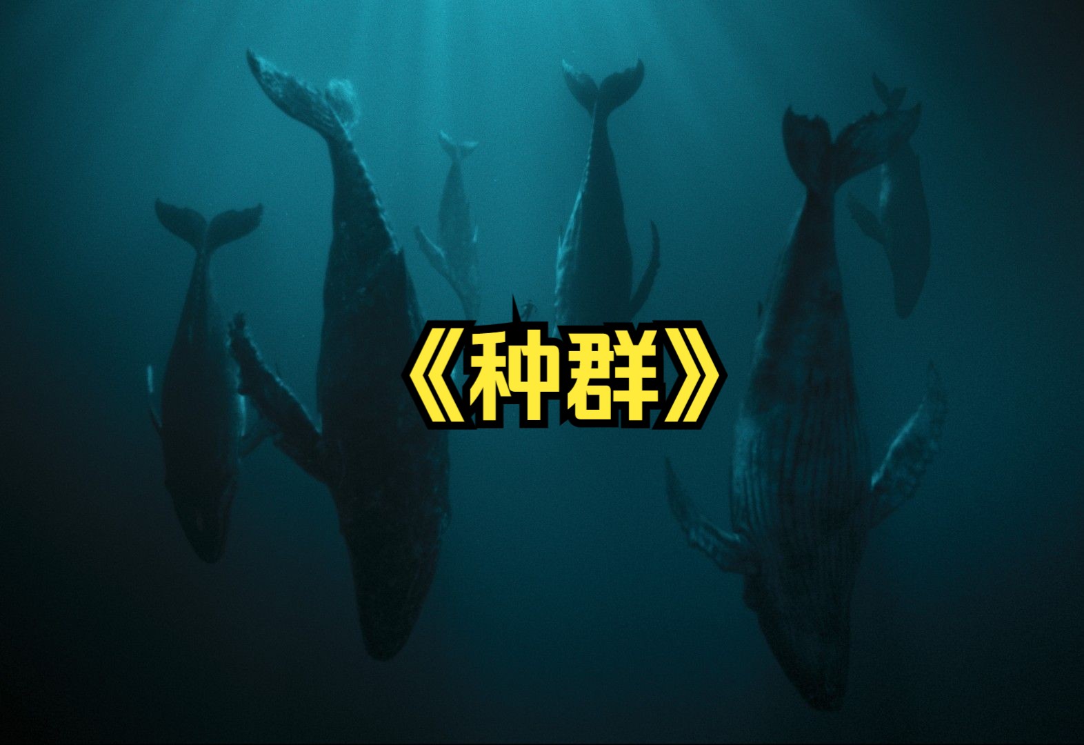 剧情惊悚:一口气看完《种群》