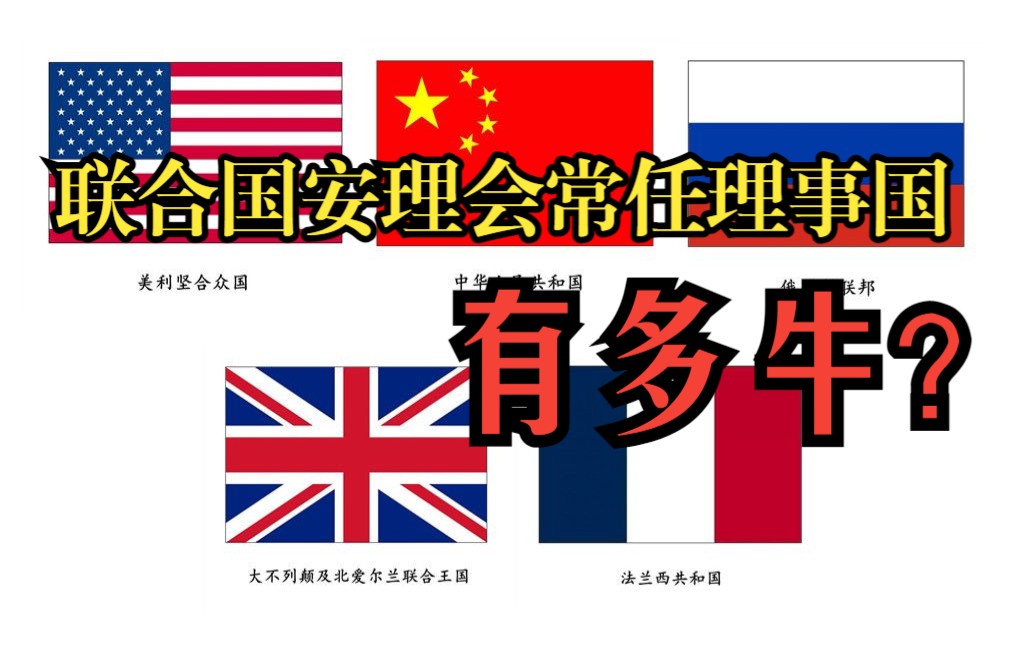 联合国安理会常任理事国到底有多牛X?哔哩哔哩bilibili