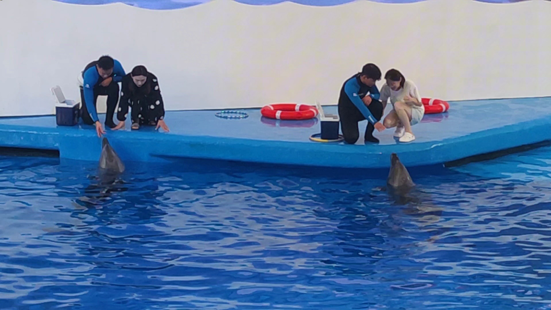 广州海洋馆-海豚奇缘