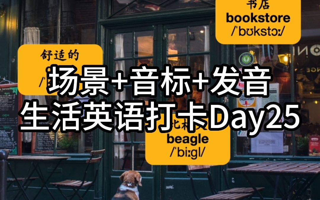 生活中用得到的英语丨Day25打卡哔哩哔哩bilibili