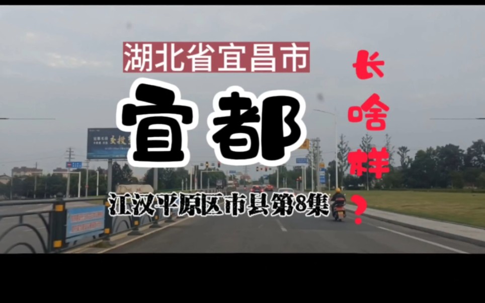 一分钟,看看湖北省宜昌市宜都市长啥样?江汉平原区市县第8集.当阳的,枝江的,夷陵的,伍家岗的,长阳的,五峰的,秭归的,点军的、猇亭的,兴...