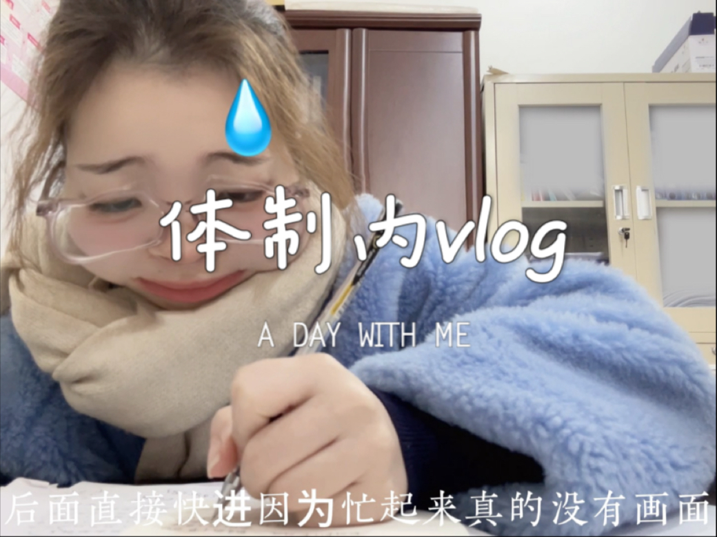 【体制内vlog】乡镇公务员的日常按部就班的忙碌哔哩哔哩bilibili