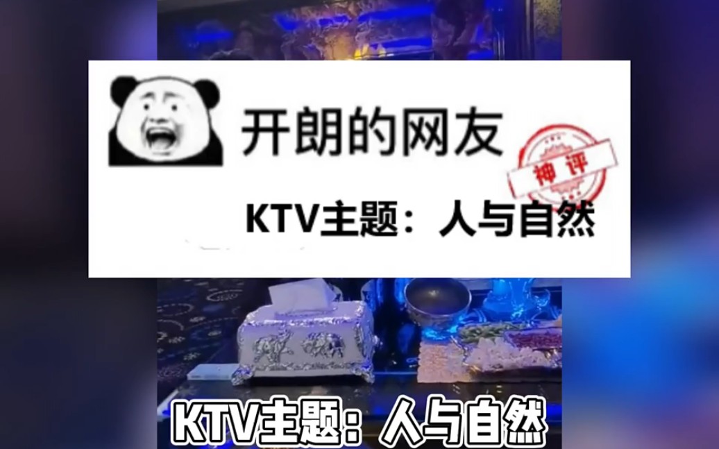 KTV主题:《人与自然》哔哩哔哩bilibili