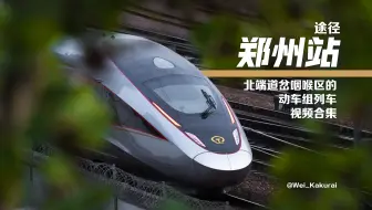 【国铁】途径郑州火车站北端道岔咽喉区的动车组列车视频合集