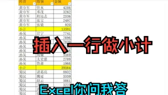 《Excel你问我答》数据表插入合计行,分类插入一行做小计小结,内容不同就插入一个空行