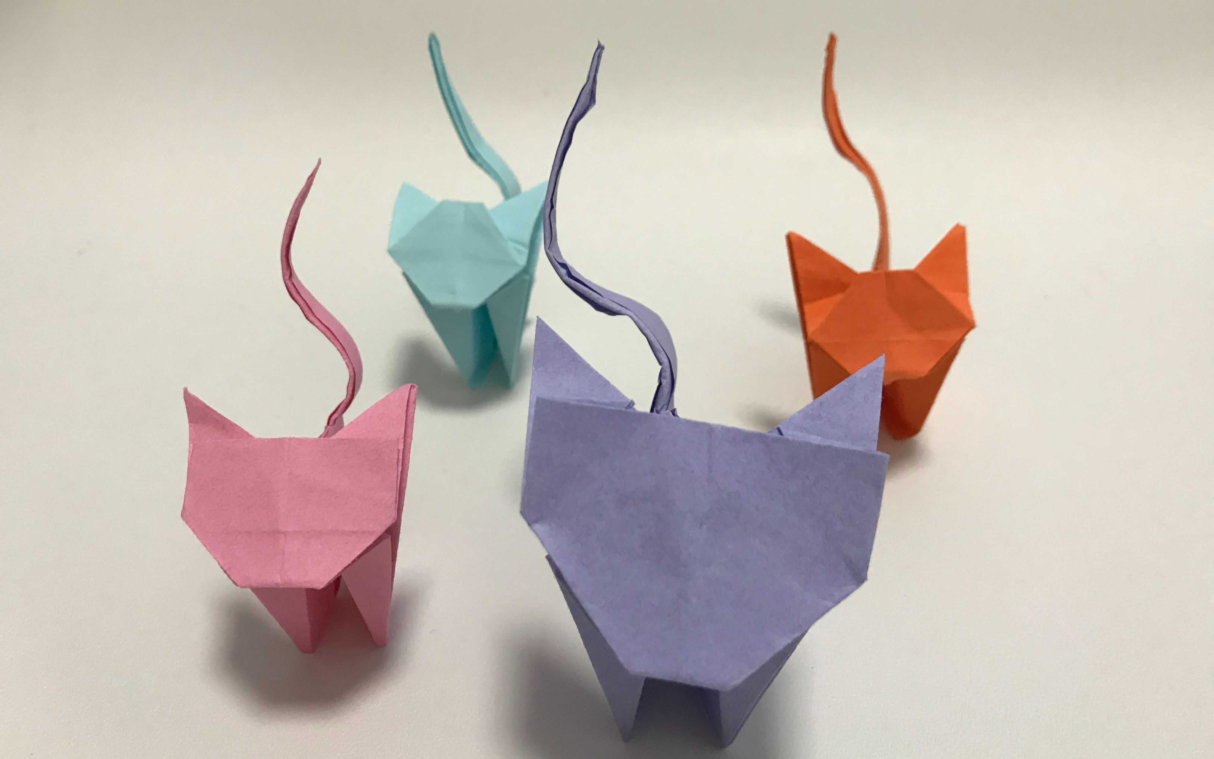 动物折纸:猫咪折纸