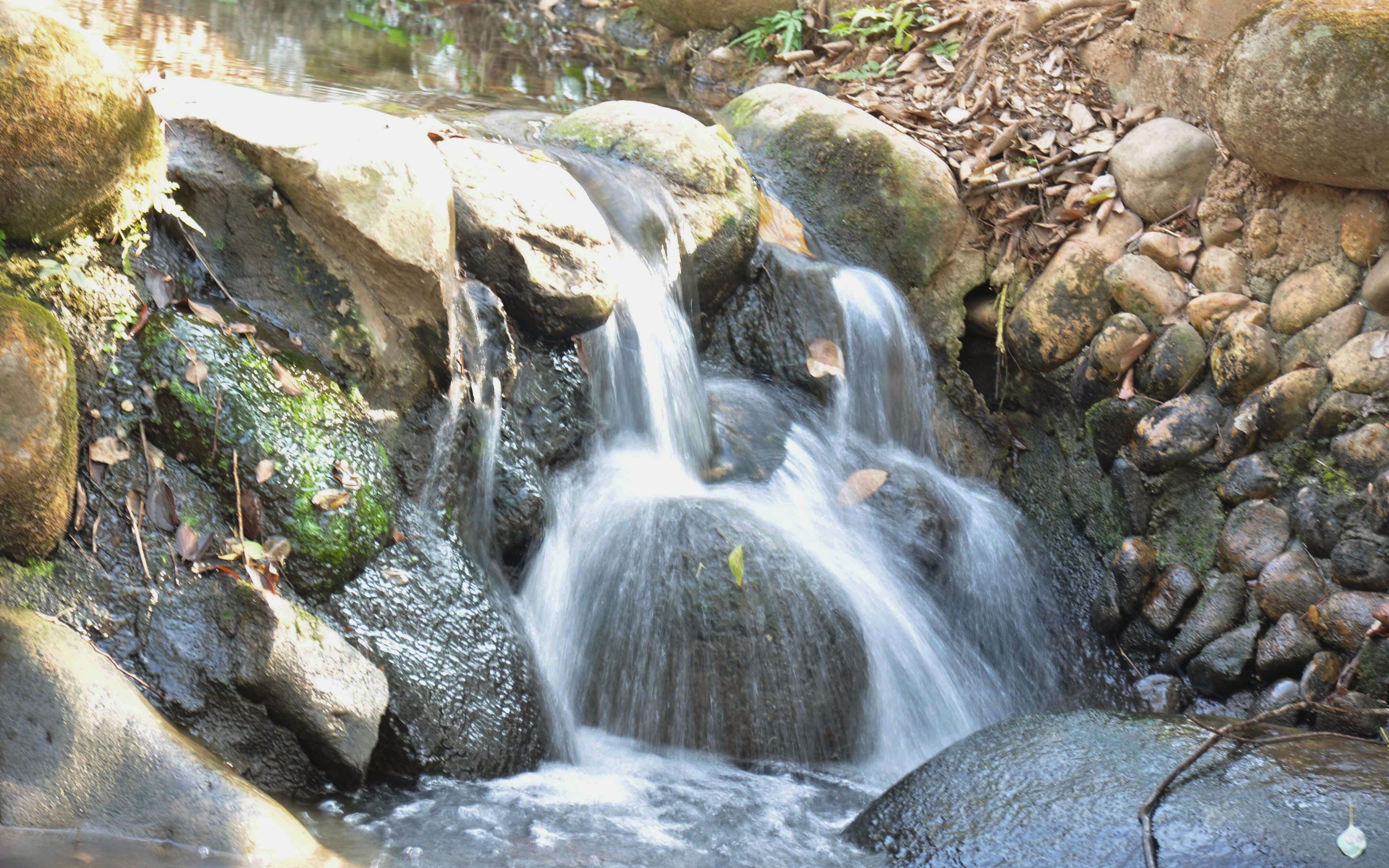 活动作品摄影微课堂一起学习一下动静结合吧