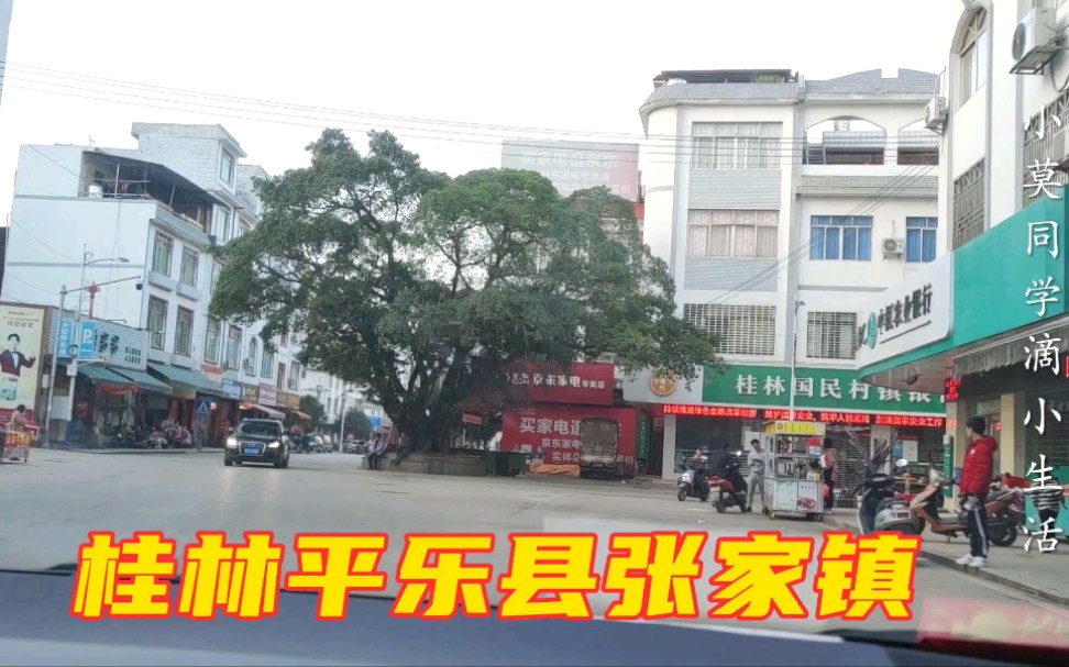 [图]实拍:广西桂林市平乐县张家镇街道，网友:地地道道的乡村街道