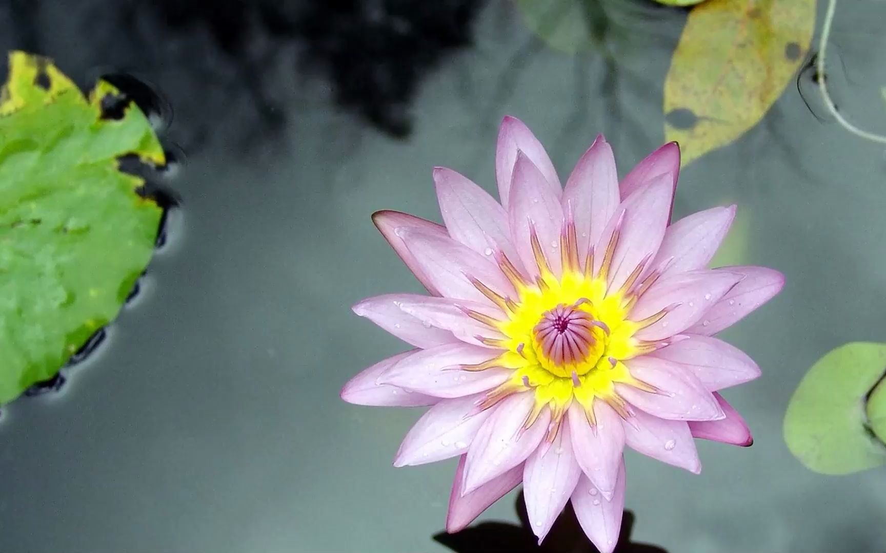 稳中求胜——中产的财富路径与资产配置