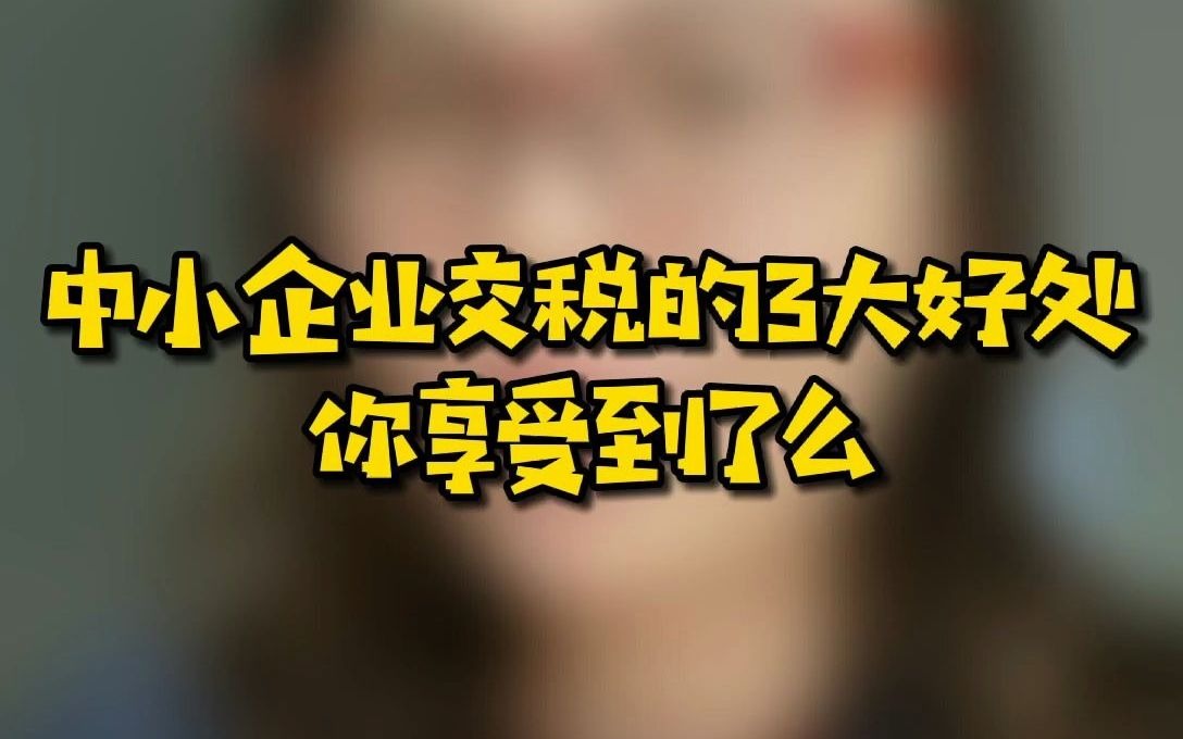 中小企业交税的三大好处你,享受到了吗?哔哩哔哩bilibili