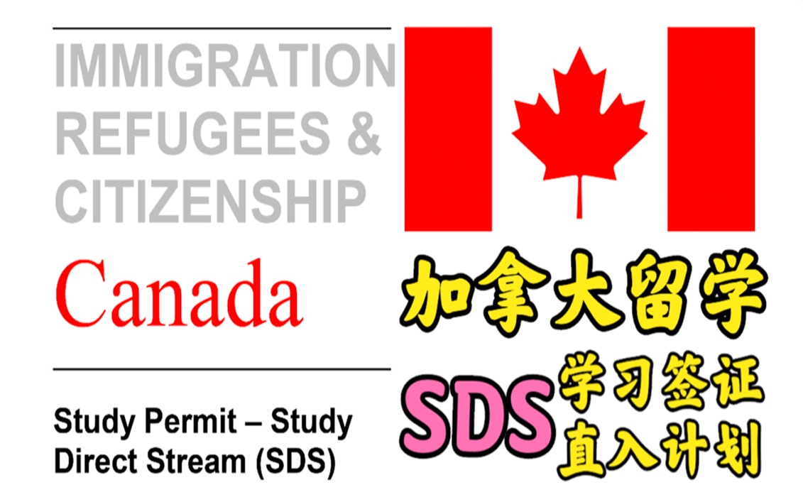 【有路】加拿大留学签证之SDS签证(学习直入计划)|YouLu哔哩哔哩bilibili