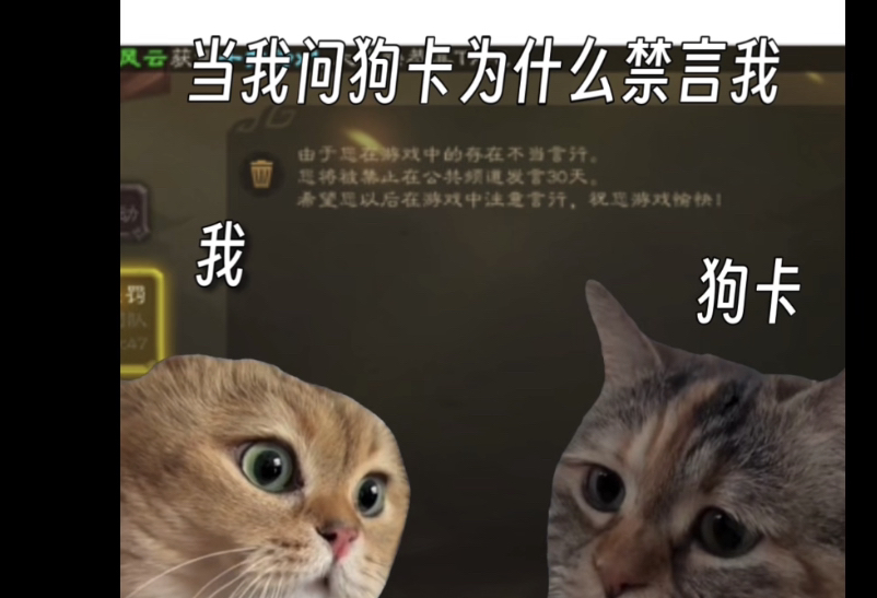 (猫meme)当我大骂狗卡控牌堆被孝子举办和一些杂七杂八的事情网络游戏热门视频