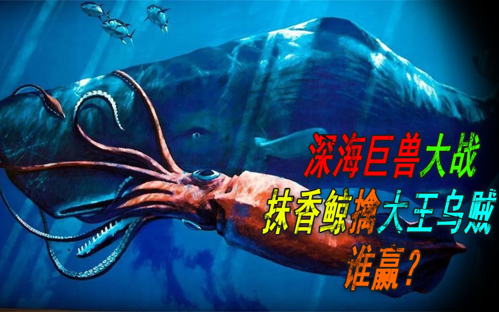 深海巨兽大对决,抹香鲸擒大王乌贼,谁赢?