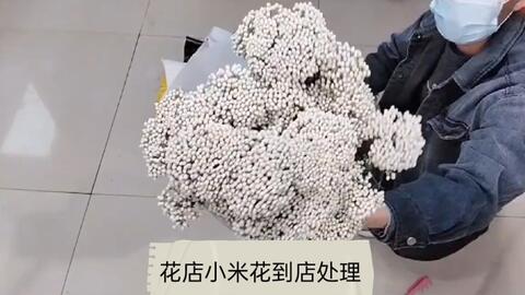 有一种喜悦叫小米花 小米花的花语是喜悦 花多成团 花瓣为小米珠 一簇成团 多有白色和浅粉色 清新自然 像云朵一样梦幻 哔哩哔哩