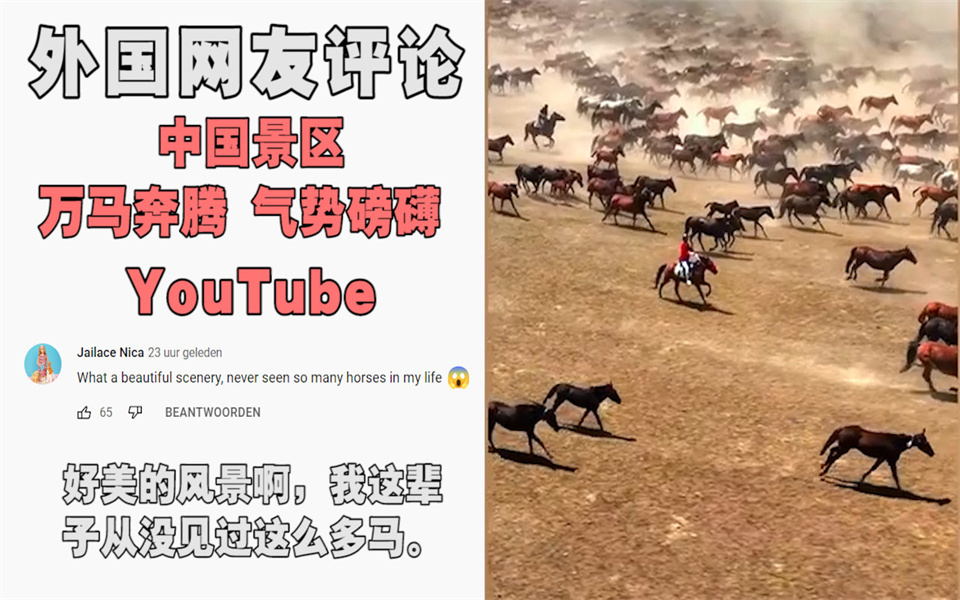 老外看中国“万马奔腾”壮观场面,YouTube网友:像电影一样,我这辈子从没见过这么多马!哔哩哔哩bilibili