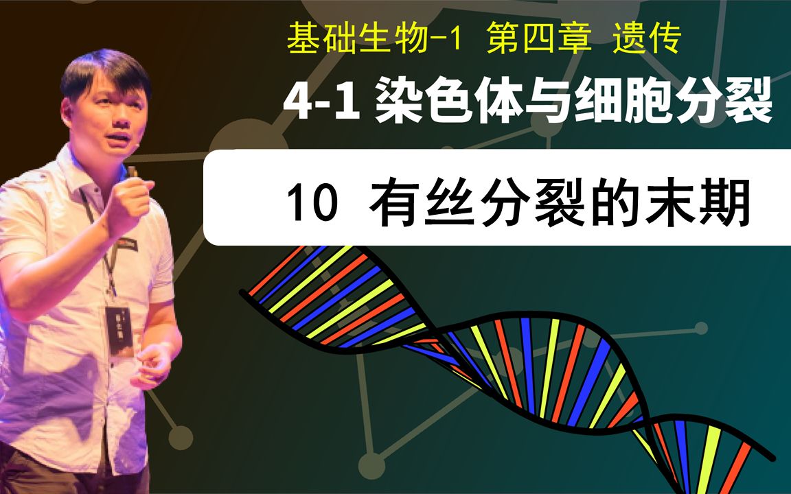 基础生物学41.10 有丝分裂的末期哔哩哔哩bilibili