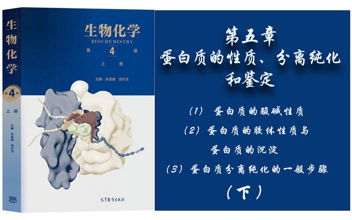 30.生物化学  第五章 (1)蛋白质的酸碱性质;(2)蛋白质的胶体性质与蛋白质的沉淀;(3)蛋白质分离纯化的一般步骤. 下哔哩哔哩bilibili