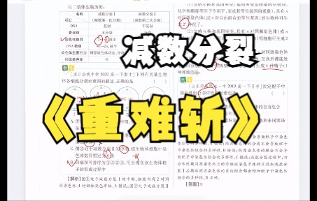 【必修2】2.15减数分裂划重点 遗传与进化人教版高中生物学2022新教材新课标新高考理综哔哩哔哩bilibili