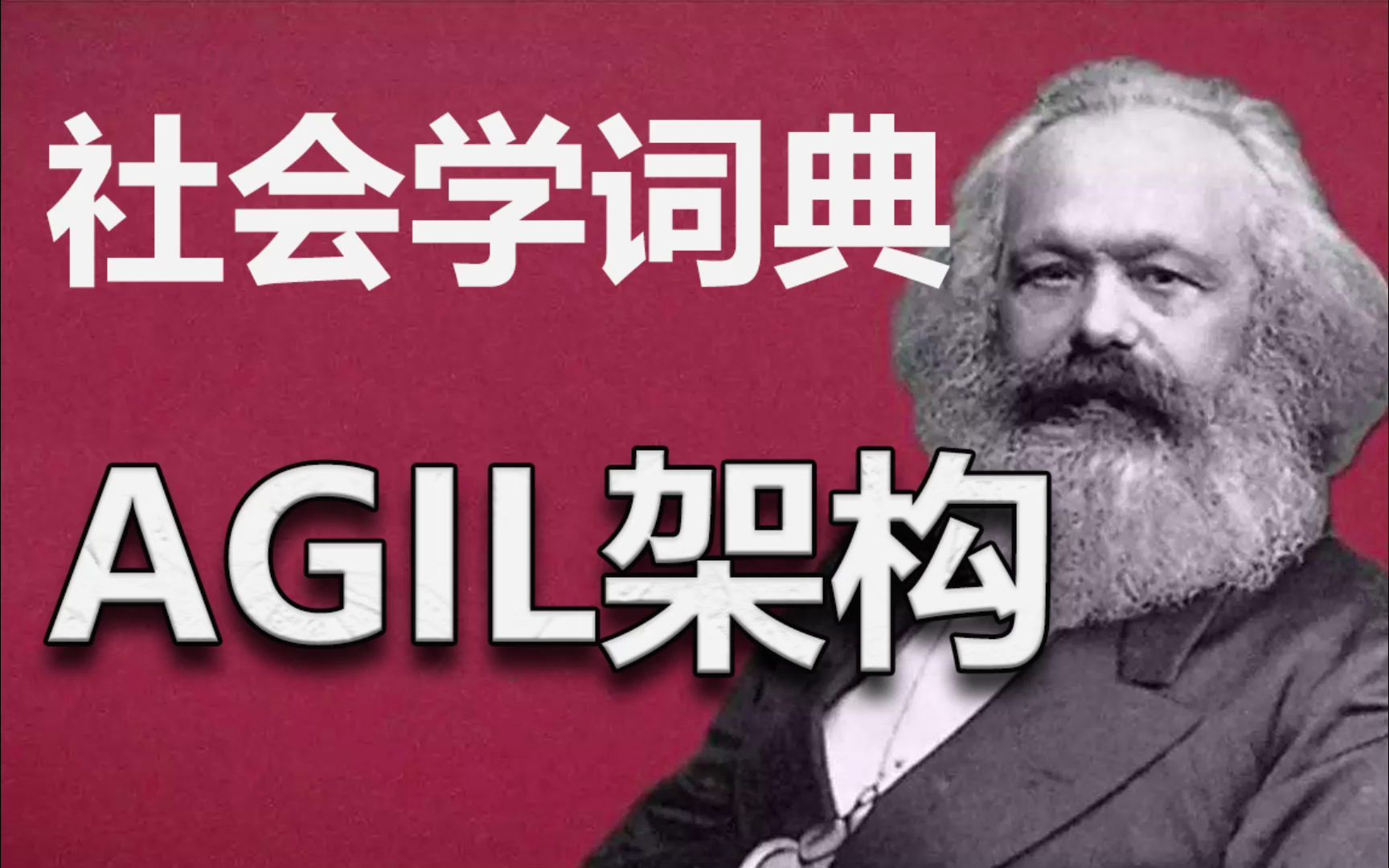 [图]【社会学词典】AGIL架构