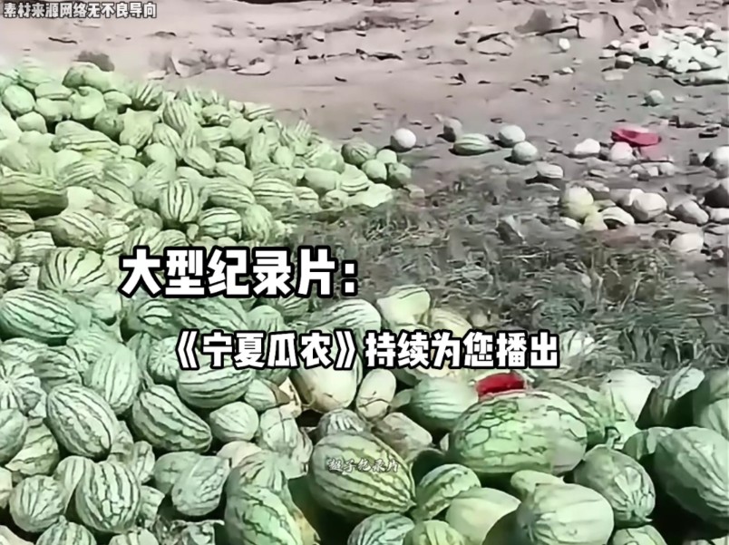 单方面撕毁合约，瓜农赢了今朝却输了未来。大型纪录片《宁夏瓜农》持续为您播出。