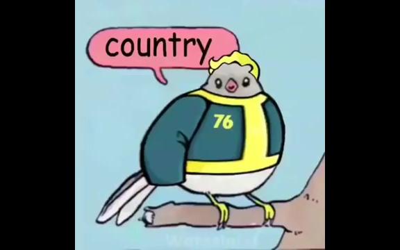 [图]【搬运】Fallout 76 meme