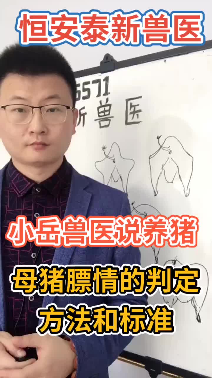 母猪膘情的判断方法和标准哔哩哔哩bilibili