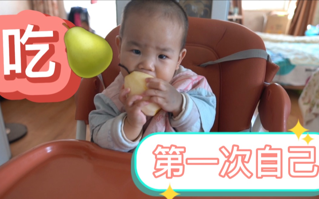 真香超搞笑!15个月大的小宝宝第一次自己吃梨