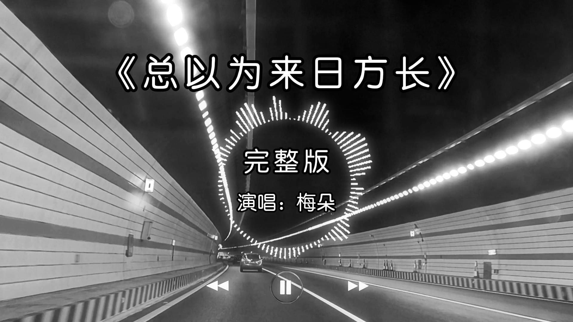 【单循推荐】一首梅朵的《总以为来日方长》原唱完整版,越听越上头,仿佛看到了人生的回放!哔哩哔哩bilibili