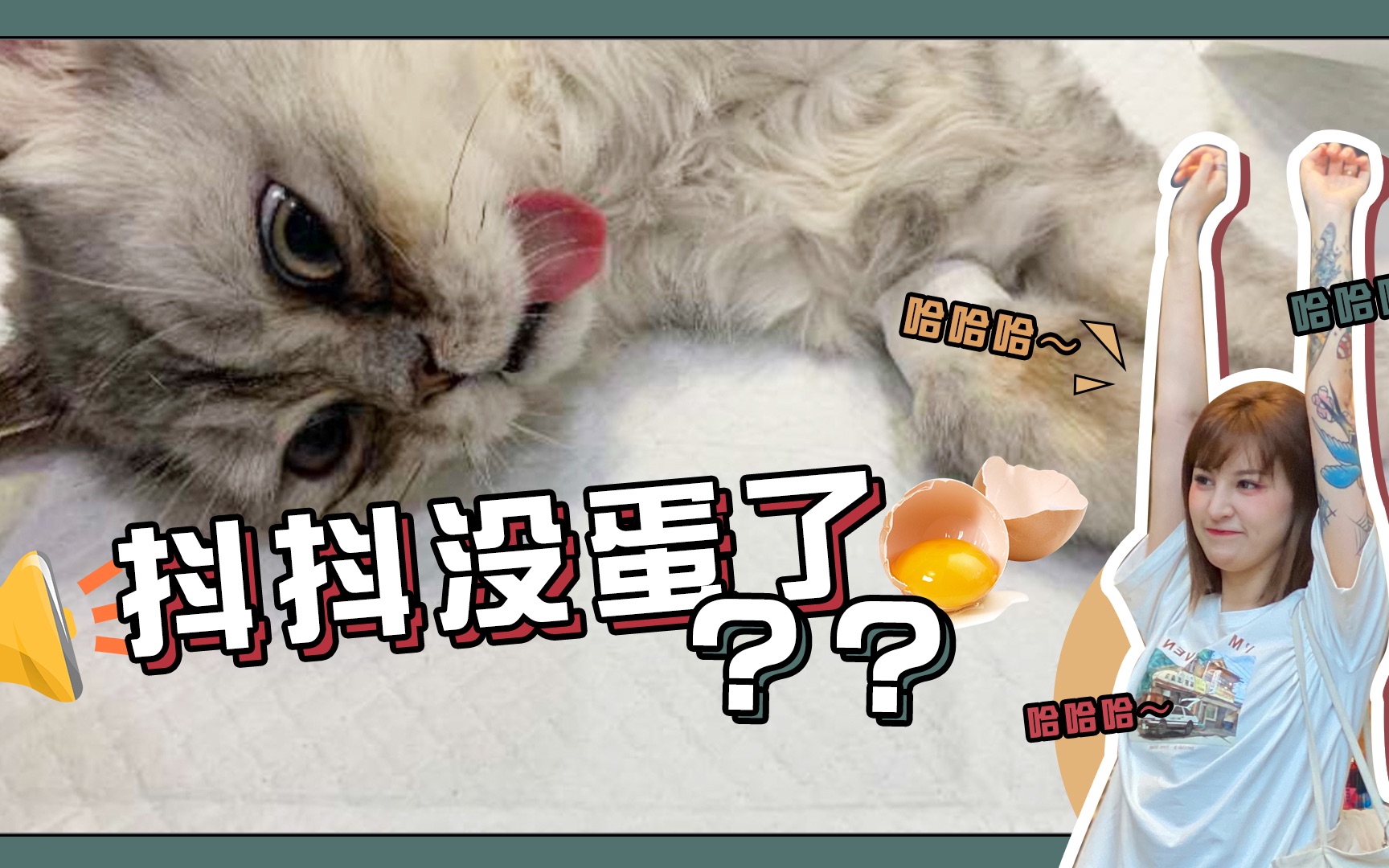 猫咪绝育初体验vlog|抖抖的蛋04没了?