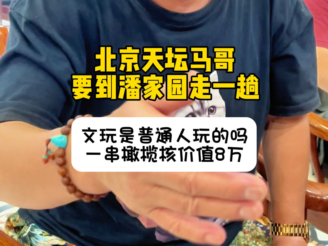 文玩是普通人玩的吗?一串橄榄核8万元!看北京天坛马哥怎么说哔哩哔哩bilibili