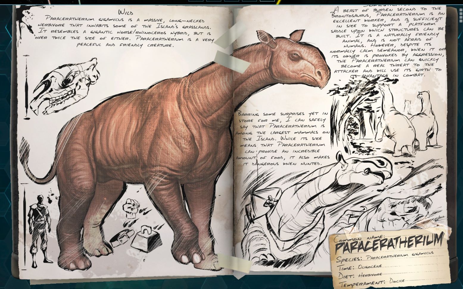 【方舟生存进化】标本日记:巨犀