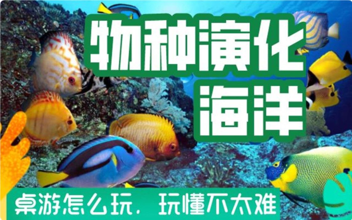 [图]【桌游怎么玩】物种演化：海洋，规则教学，Oceans