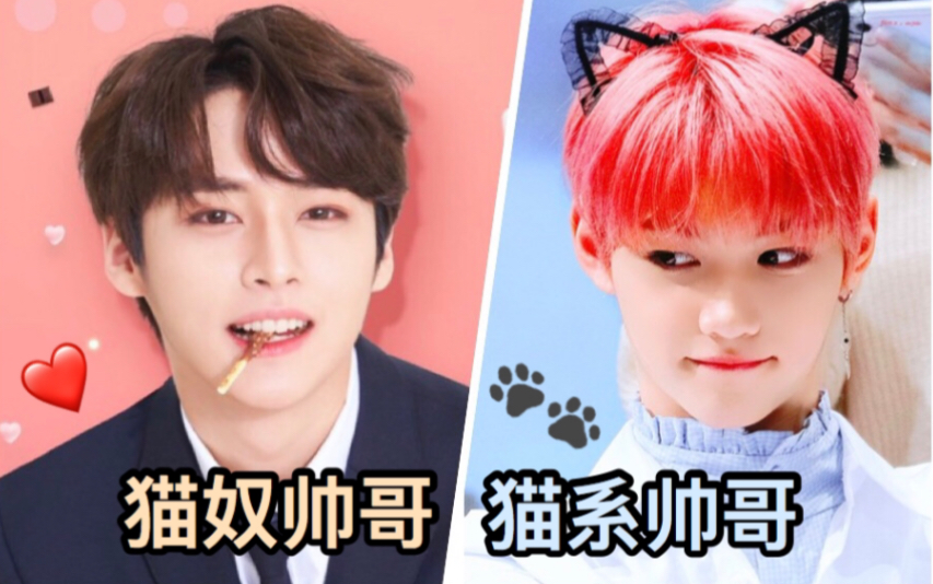 【颜控i研究】猫奴帅哥会否对猫系帅哥特别偏心呢?【Stray Kids】哔哩哔哩bilibili