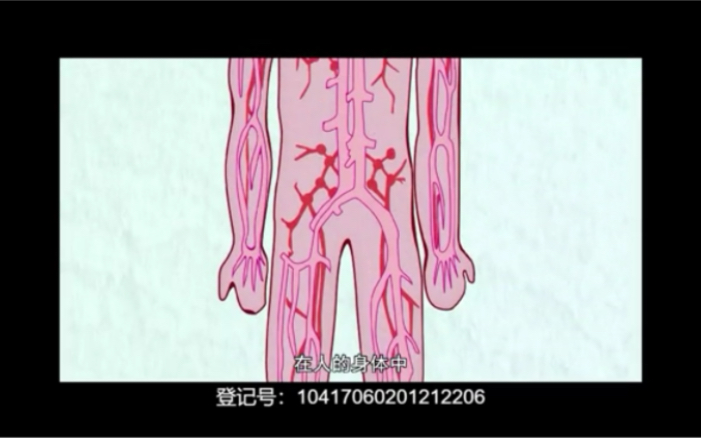 工作细胞红细胞 白细胞 血小板出场哔哩哔哩bilibili