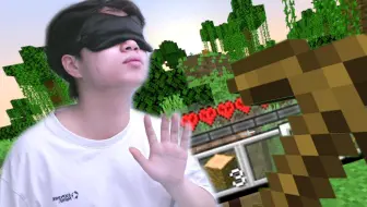 一个盲人的MC极限生存。